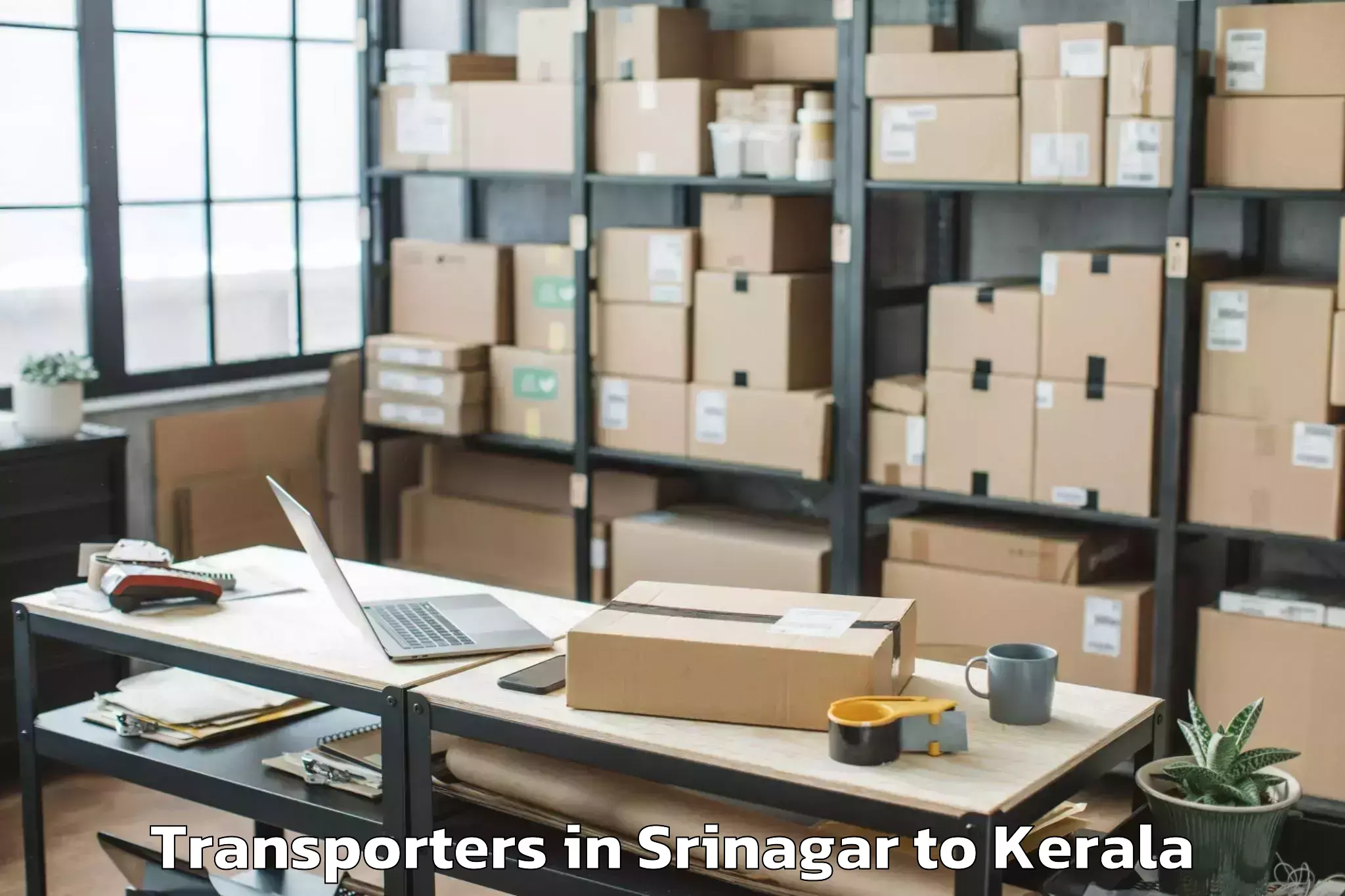 Professional Srinagar to Pathanamthitta Transporters